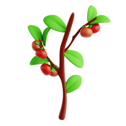 Tomato icon