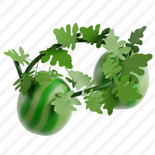 Watermelon preview