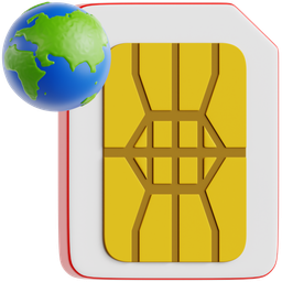 Sim Card With Globe icon