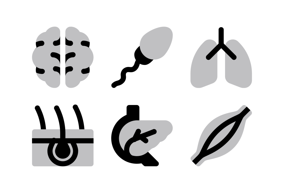 Anatomy Halftone Large Set Preview