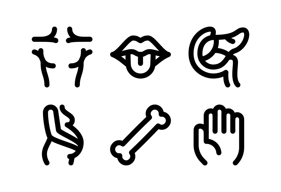 Anatomy Large Set Preview