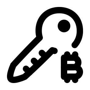 Security Finance Cryptocurrency Bitcoin Currency Money Key Lock Privacy Password. icon