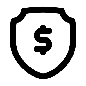 Security Finance Money Dollar Currency Shield Protection Safety Privacy. icon