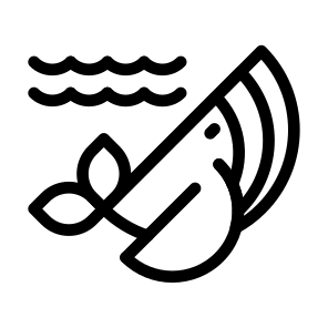 Whale Animals Oceanlife Mammal Blue icon