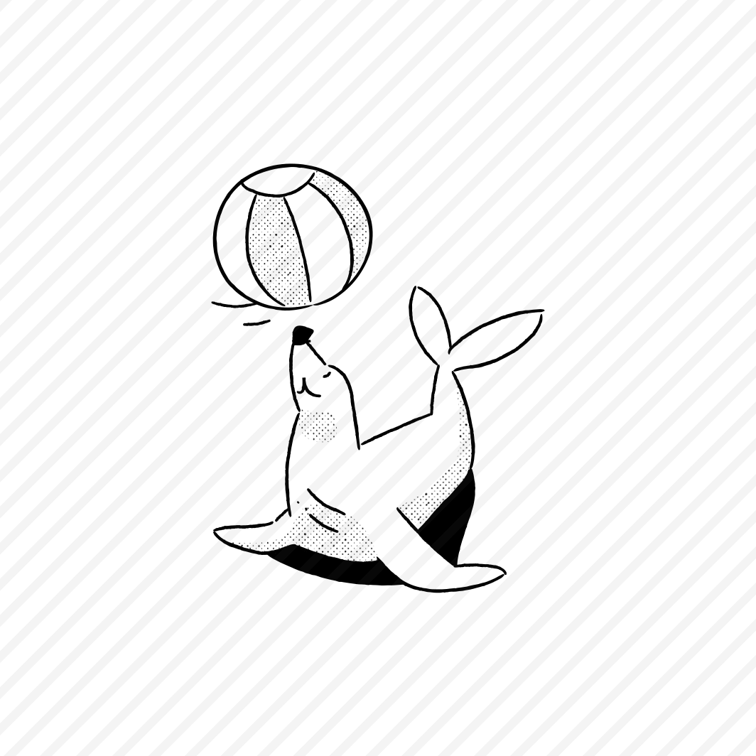 Animals And Pets Ball, Play, Pet, Dog, Toy preview
