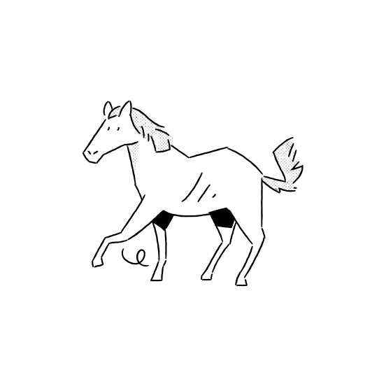 Animals And Pets   Horse, Animal, Nature, Vector Illustration illustration