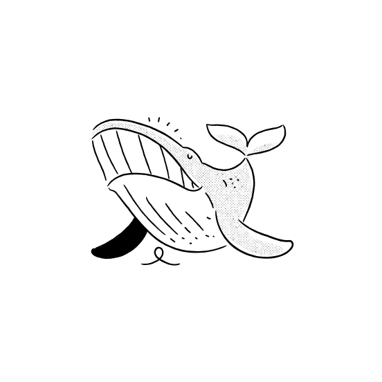 Animals And Pets   Whale, Ocean, Sea Creature, Vector Illustration illustration