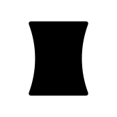 Panorama Vertical Select Px icon
