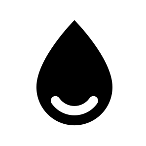 Simple Logo icon