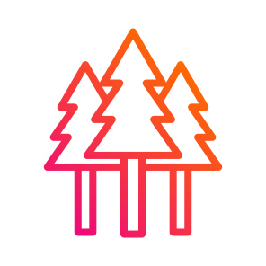 Forest,nature,trees,woodland,pines icon