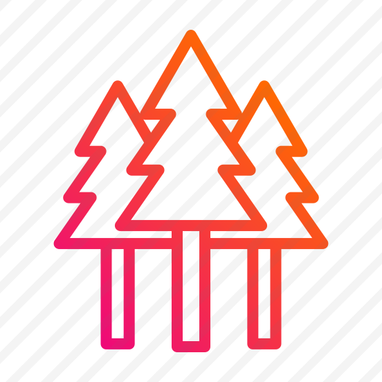 Forest,nature,trees,woodland,pines preview