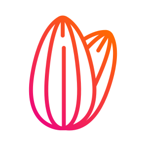 Nut,healthy Food,almond,nuts,vegetarian icon