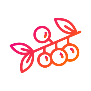 Berries,blueberry,taste,berry,fruit icon