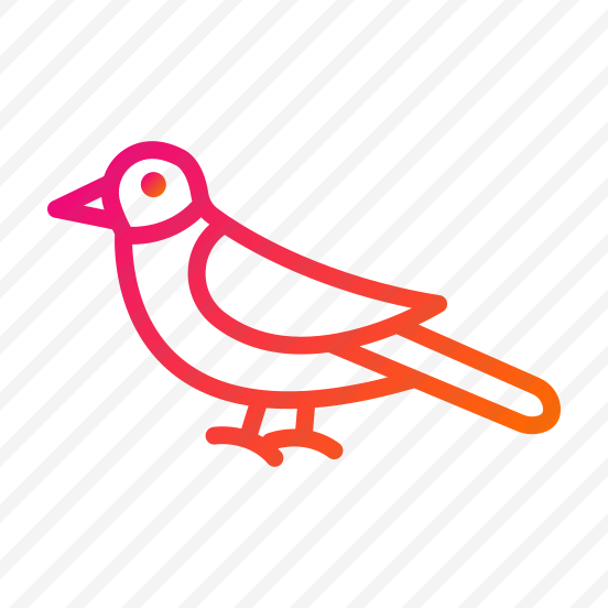 Bird,wings,pet,fly,animal preview