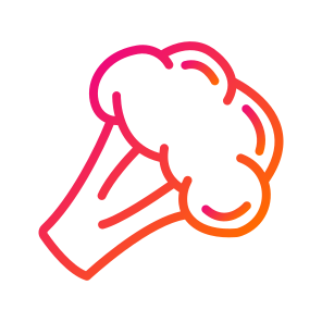 Broccoli,healthy Food,vegetarian,vegan,healthy icon