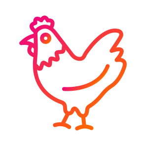 Chicken,hen,wild Life,animal,zoology icon