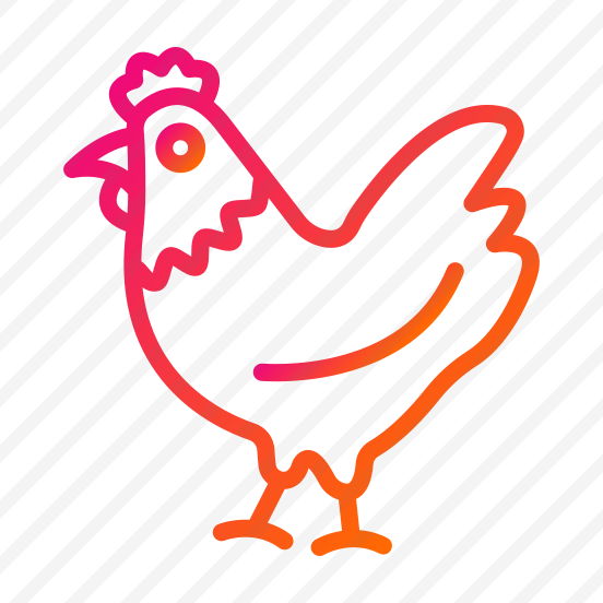 Chicken,hen,wild Life,animal,zoology preview