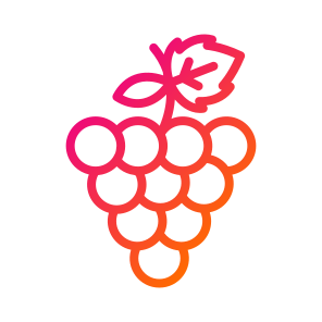 Grapes,fruit,healthy Food,grape,vegetarian icon