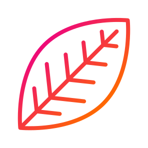 Leaf,nature,plant,leaves,thanksgiving icon