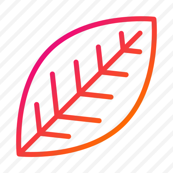 Leaf,nature,plant,leaves,thanksgiving preview
