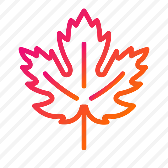 Maple Leaf,maple,fall,leaf,nature preview