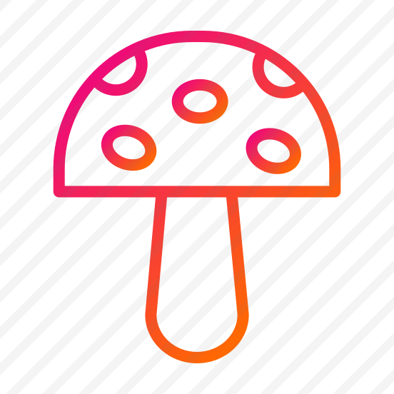 Mushroom,fungi,nature,food,thanksgiving preview