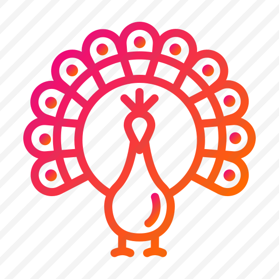 Peacock,animals,animal,wild Life,zoo preview