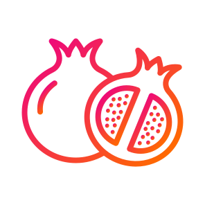 Pomegranate,vegan,healthy Food,food,diet icon