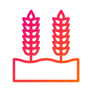 Wheat Grain,wheat,grain,nature,food icon