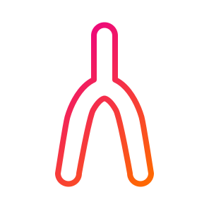 Wishbone,bird,broken,bone,bones icon
