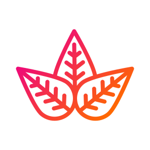 Leaf,leaves,nature,plant,ecology And Environment icon