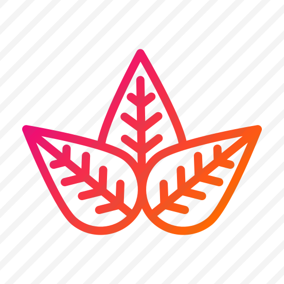 Leaf,leaves,nature,plant,ecology And Environment preview
