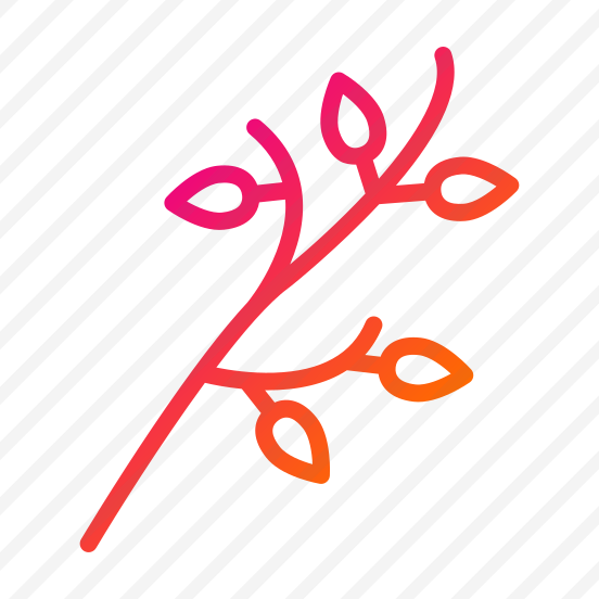 Branch,plant,leaves,nature,spring preview