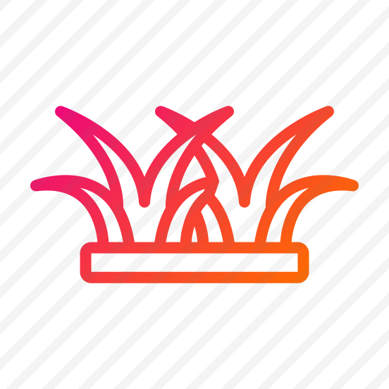Grass,ground,grass Leaves,nature,plant preview