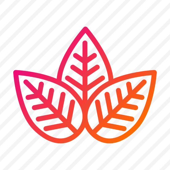 Leaf,plant,garden,plant Leaf,nature preview