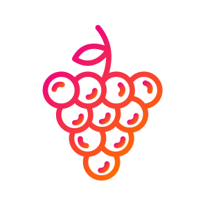 Grapes,fruits,food And Restaurant,food,grape icon