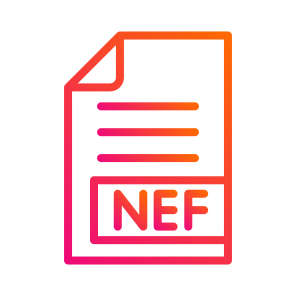 Nef,files And Folders,format,extension,document icon