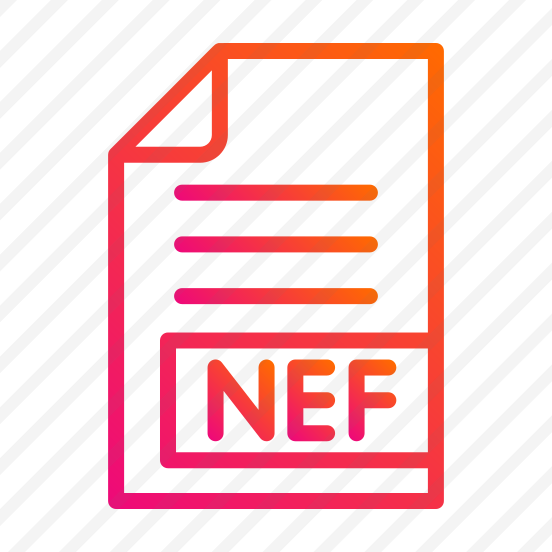 Nef,files And Folders,format,extension,document preview