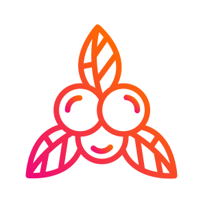 Berry,fruit,berries,food,organic icon