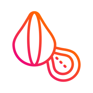 Chestnut,fall,autumn,nature,food icon