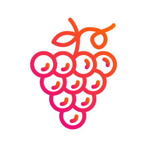 Grapes,fruit,grape,healthy Food,vegetarian icon