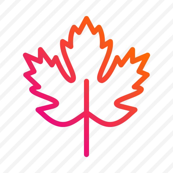 Maple,maple Leaf,leaves,leaf,autumn preview