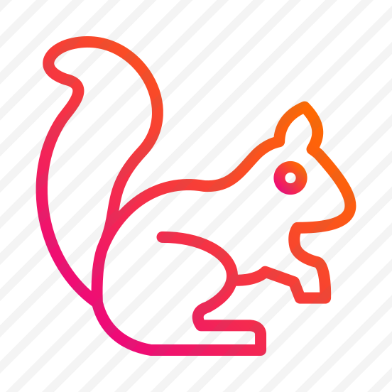 Squirrel,animal,zoo,wildlife,nature preview