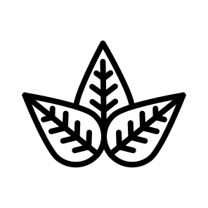 Leaf,leaves,nature,plant,ecology And Environment icon