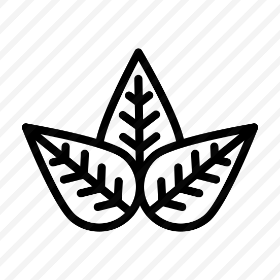 Leaf,leaves,nature,plant,ecology And Environment preview