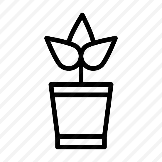 Plant,leaf,plant,ecology,ecology And Environment preview