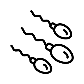 Sperm,sex,egg,fertility,laboratory icon