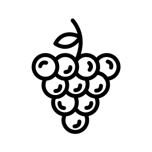Grapes,fruits,food And Restaurant,food,grape icon
