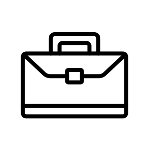 Briefcase,business,work,professional,documents,carry,office,case,executive icon