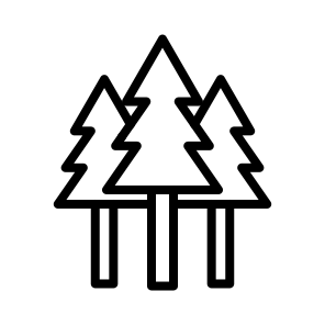 Forest,nature,trees,woodland,pines icon